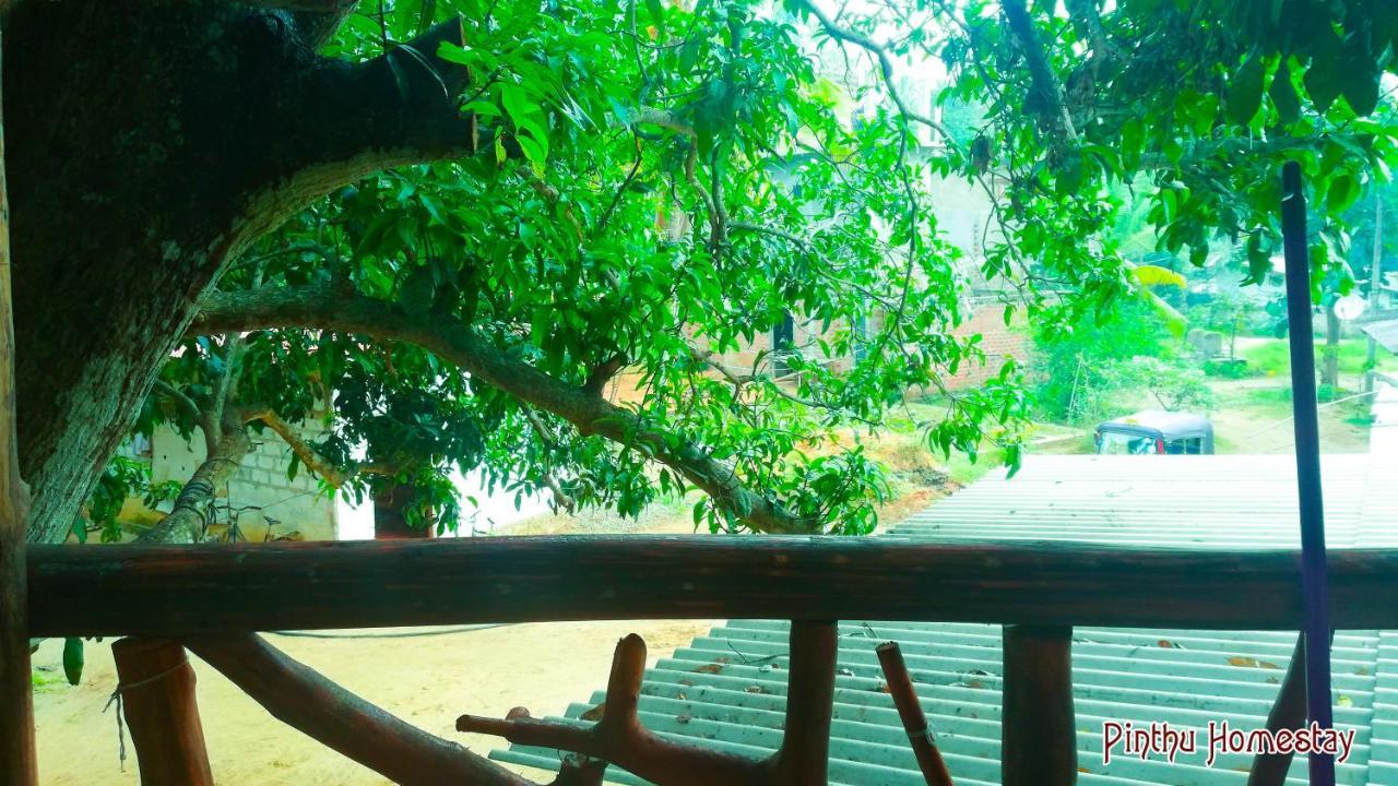 Pinthu Home Stay Sigiriya Exterior foto