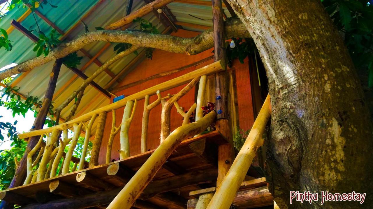 Pinthu Home Stay Sigiriya Exterior foto